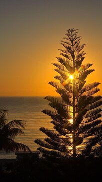 Morning sunrise from the patio