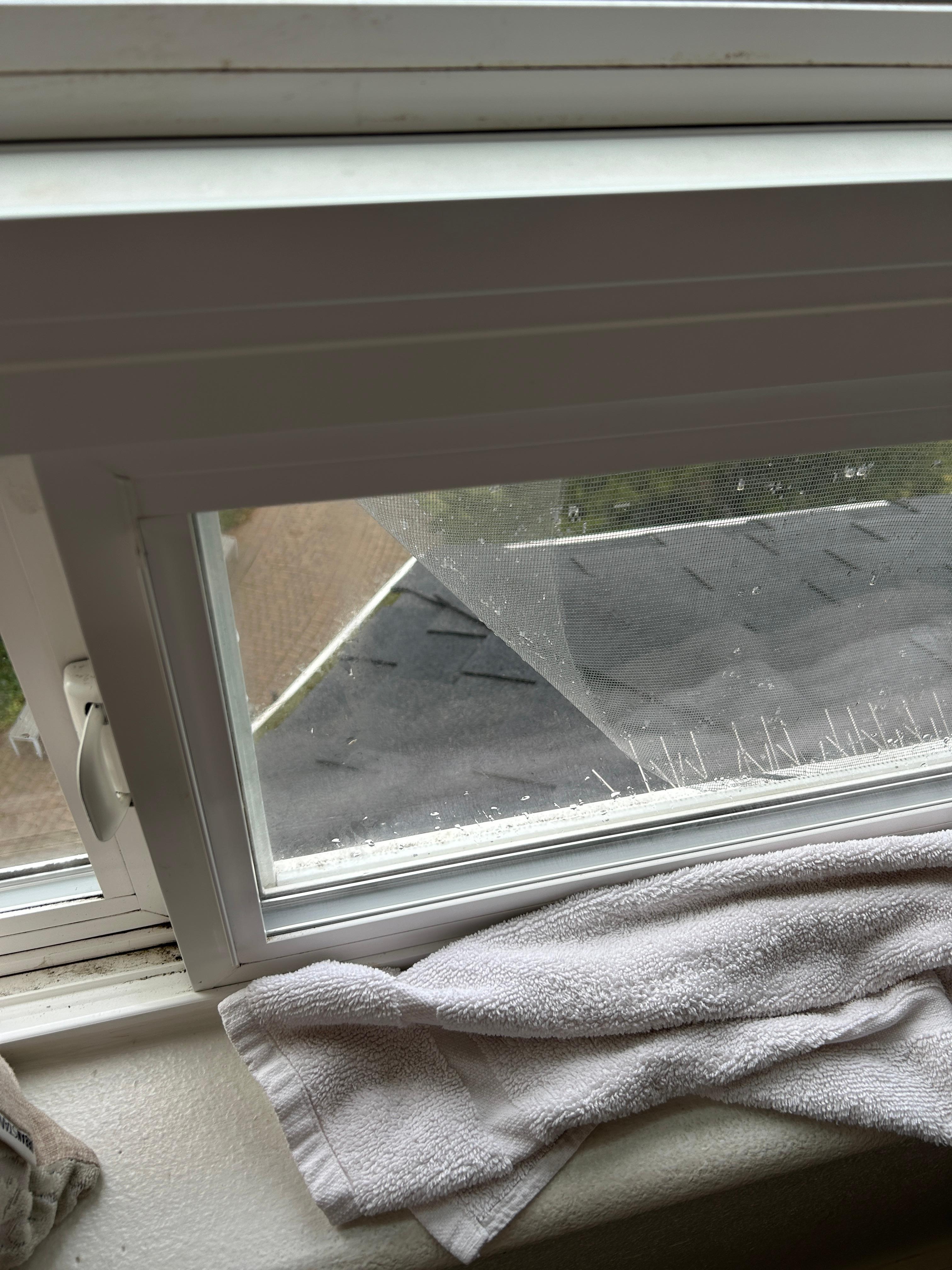 Broken Window Screen from 4th floor