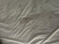 Bedding