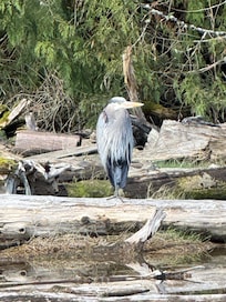 Beautiful walk on the beach
