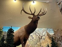 The lobby is beautifully decorated.