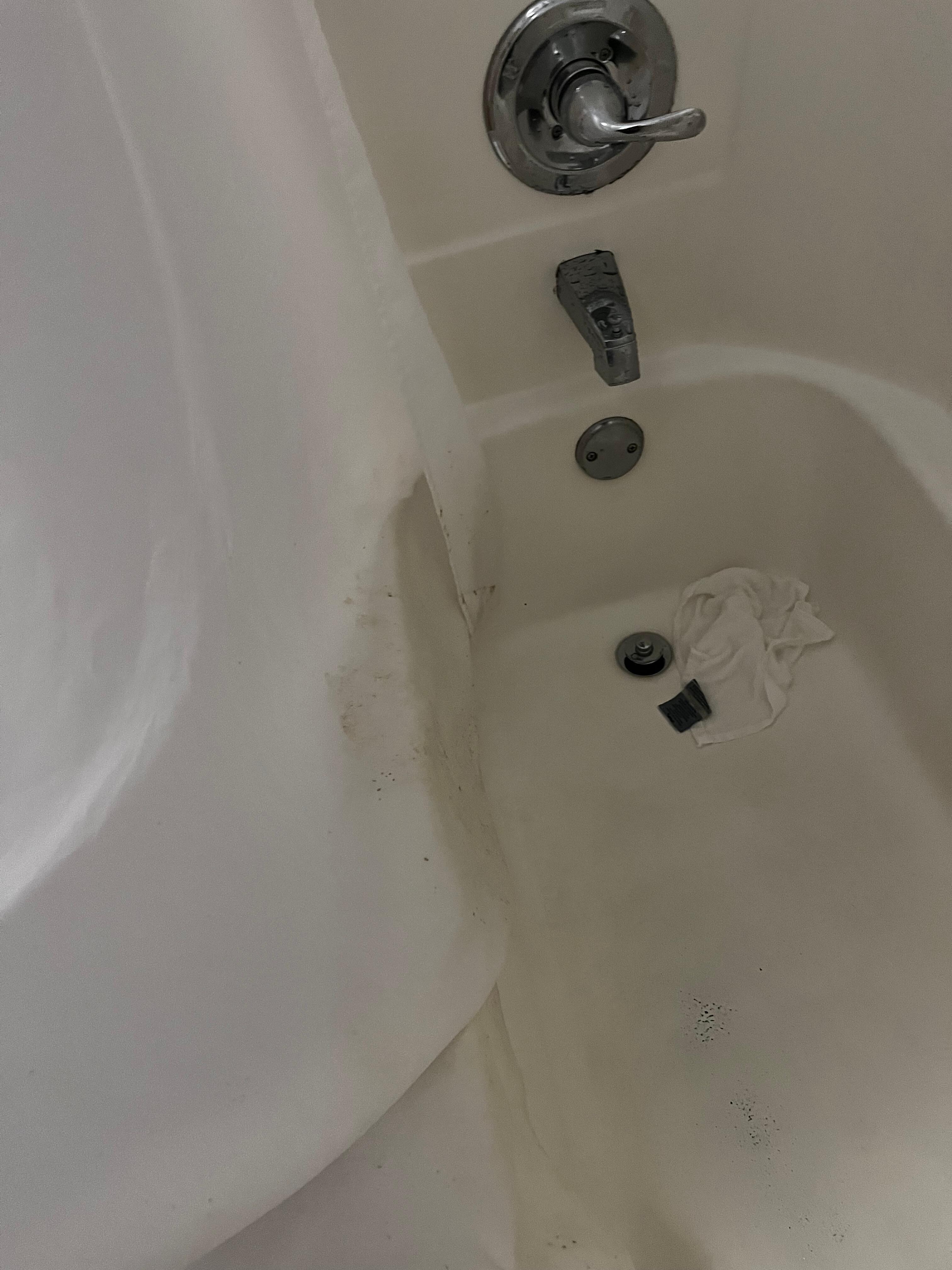 More mold