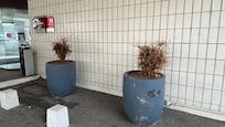 Utanför huvudingången…