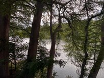 View from back porch