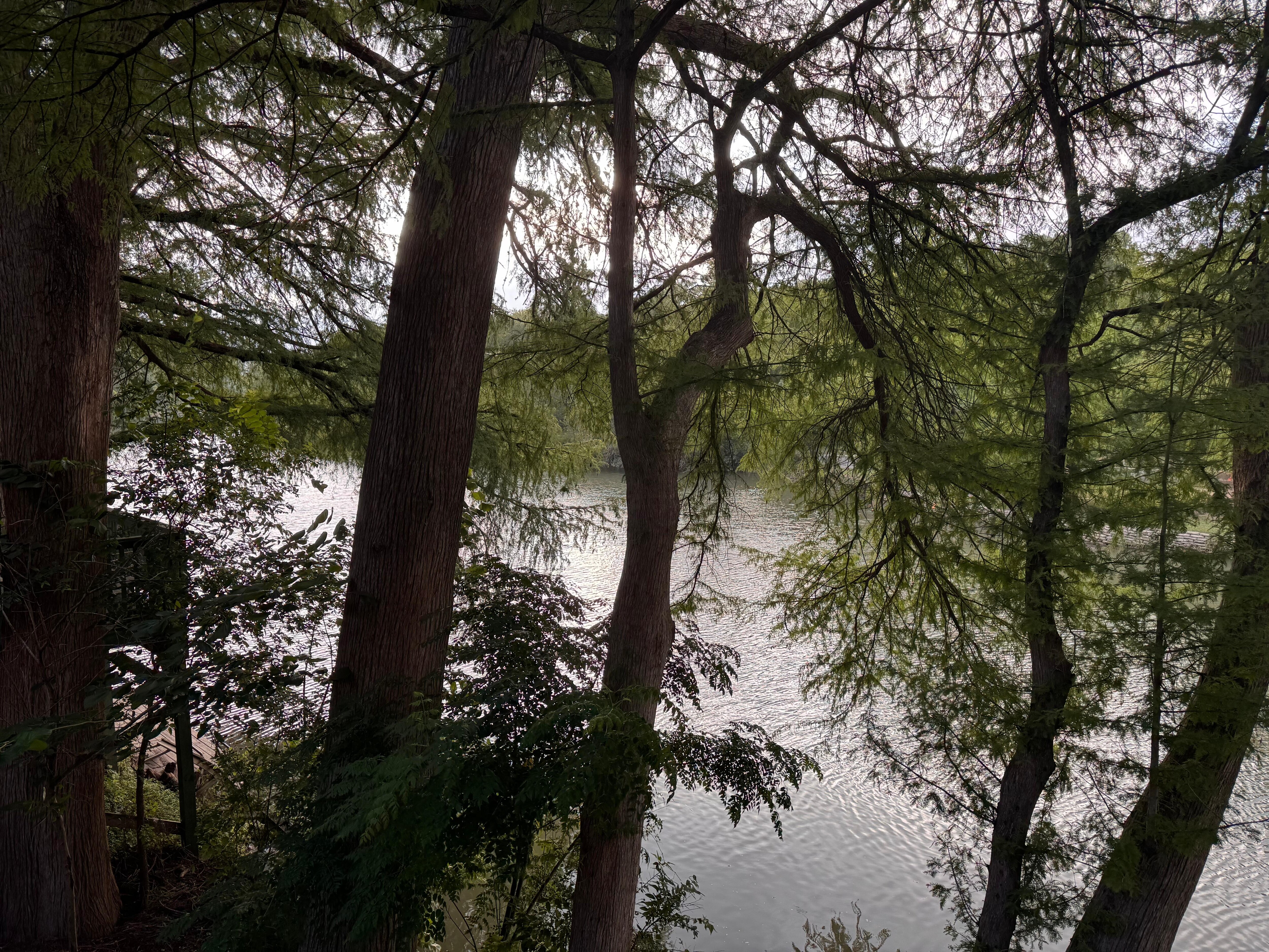 View from back porch 