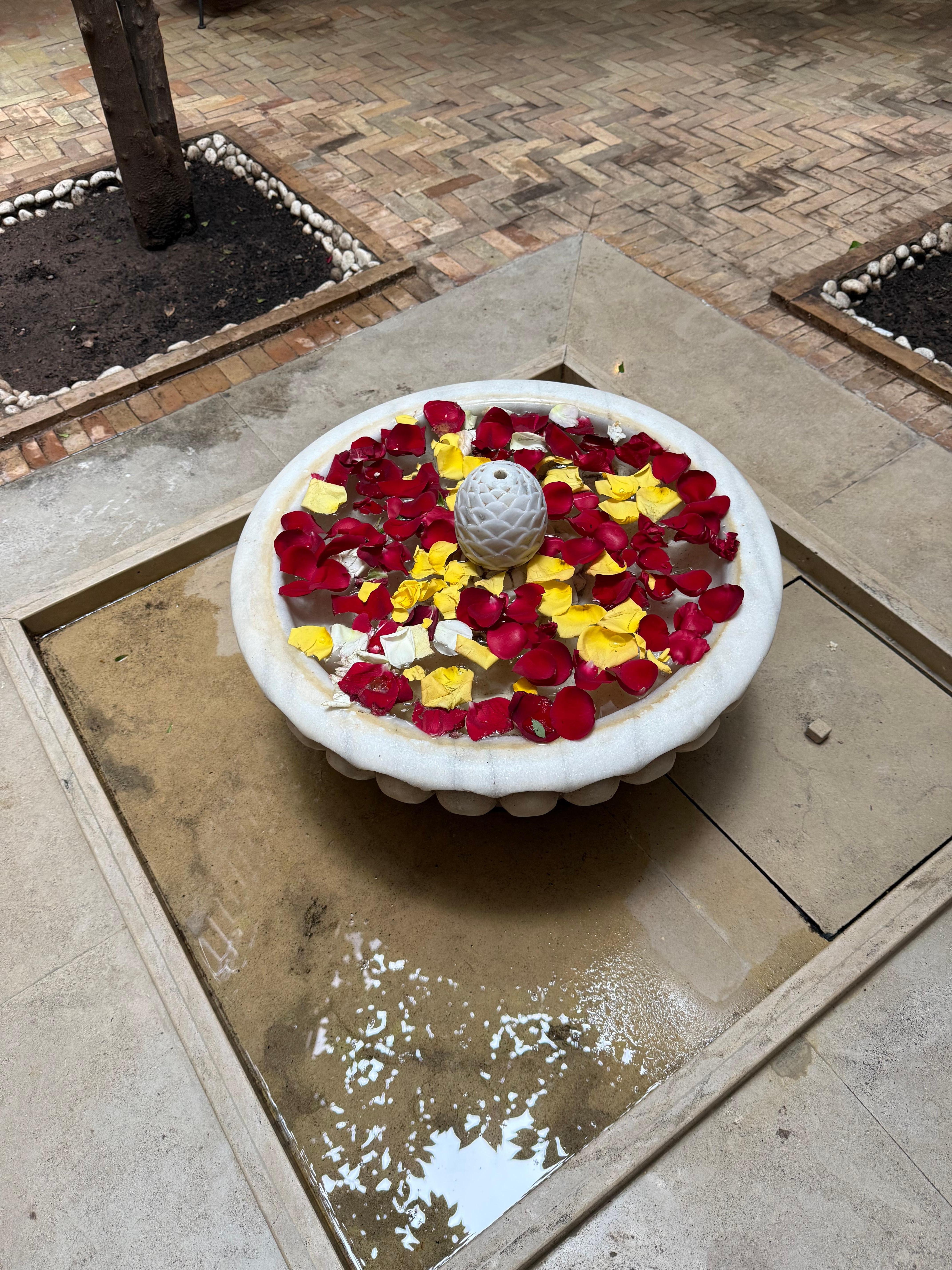 Internal courtyard flowers 