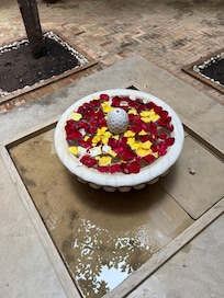 Internal courtyard flowers
