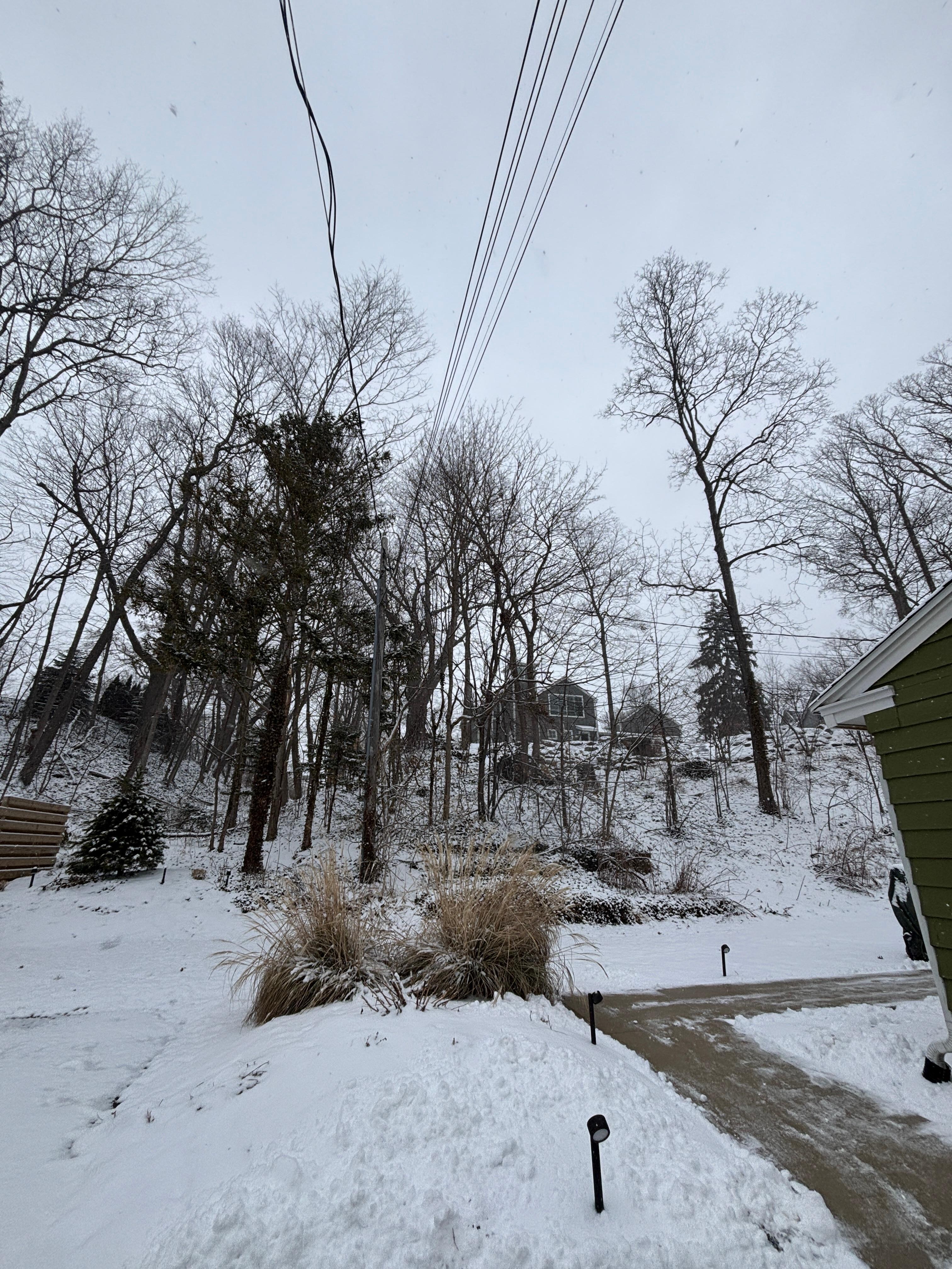 Backyard view from driveway/front of garage. 