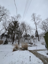 Backyard view from driveway/front of garage.