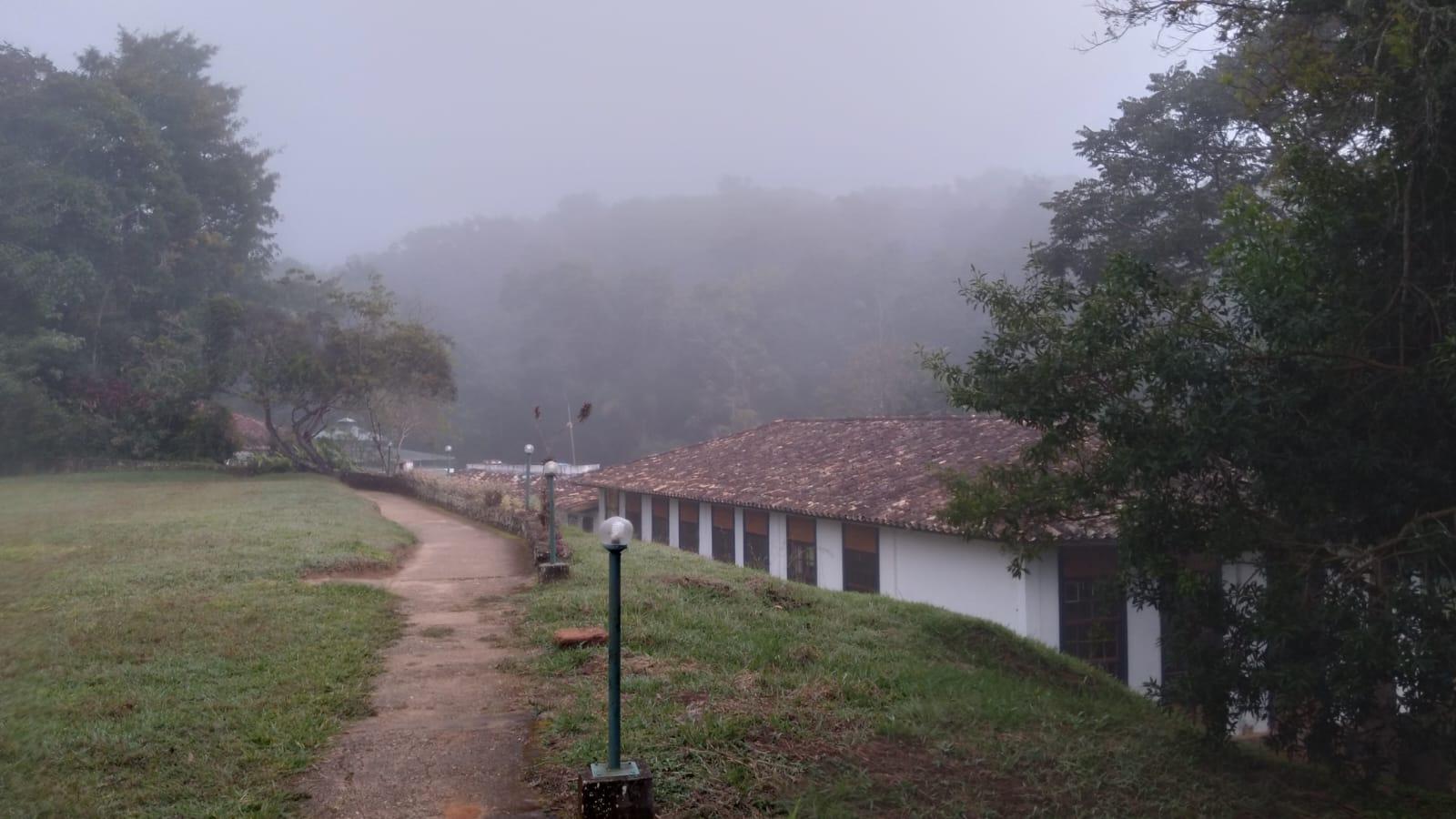 O amanhecer com neblina  