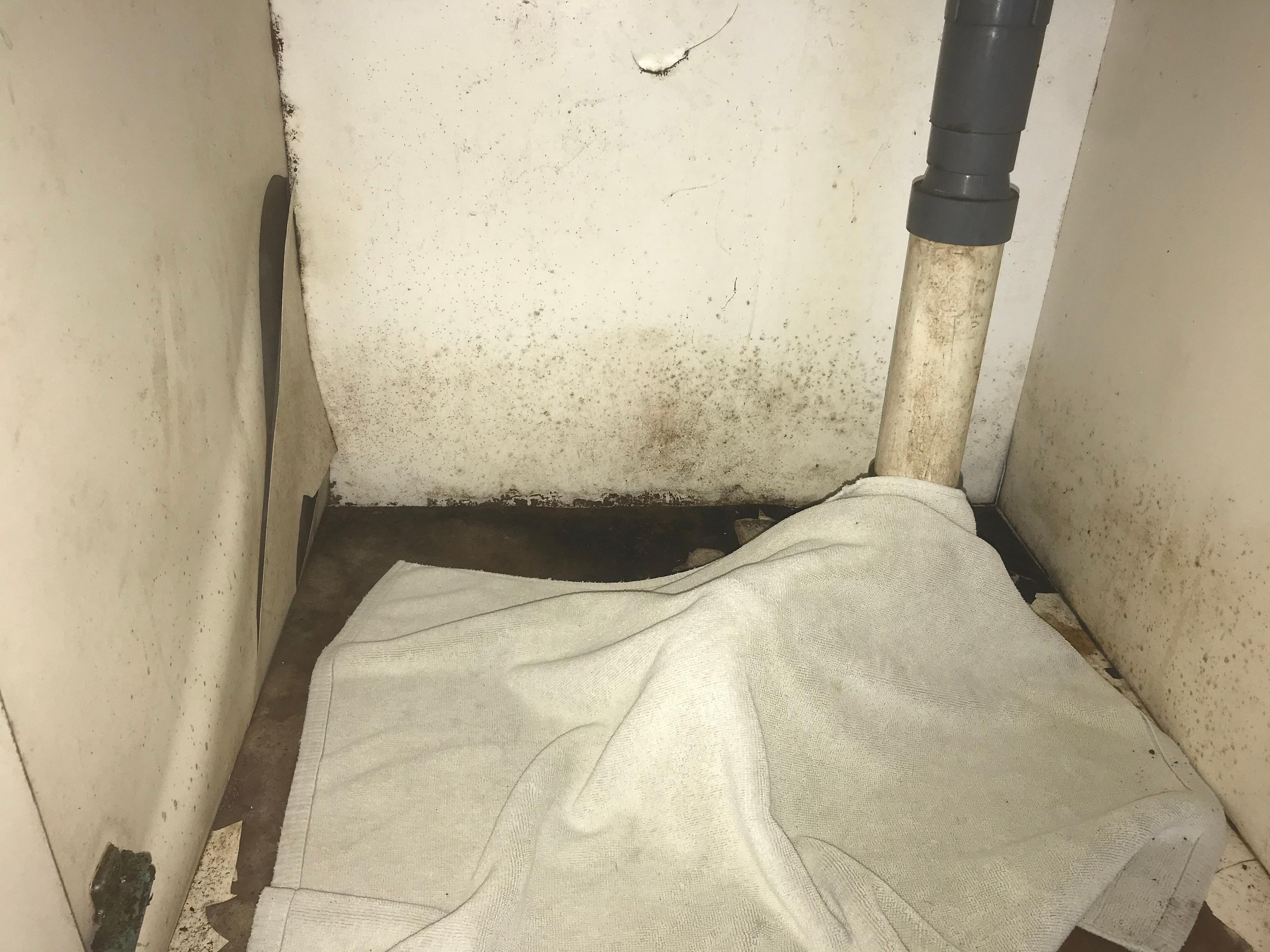 Black mould in kitchen cupboard covered by a towel! 