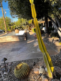 The native plants outside were a nice touch.