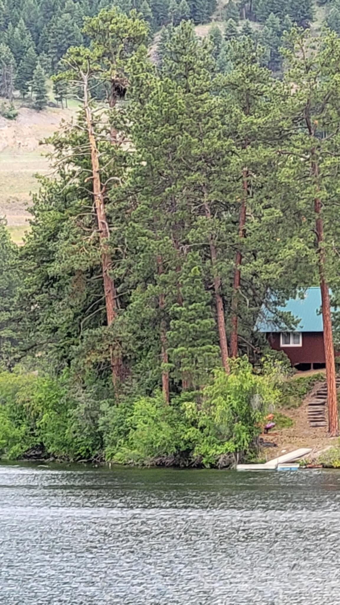 Eagle's Nest