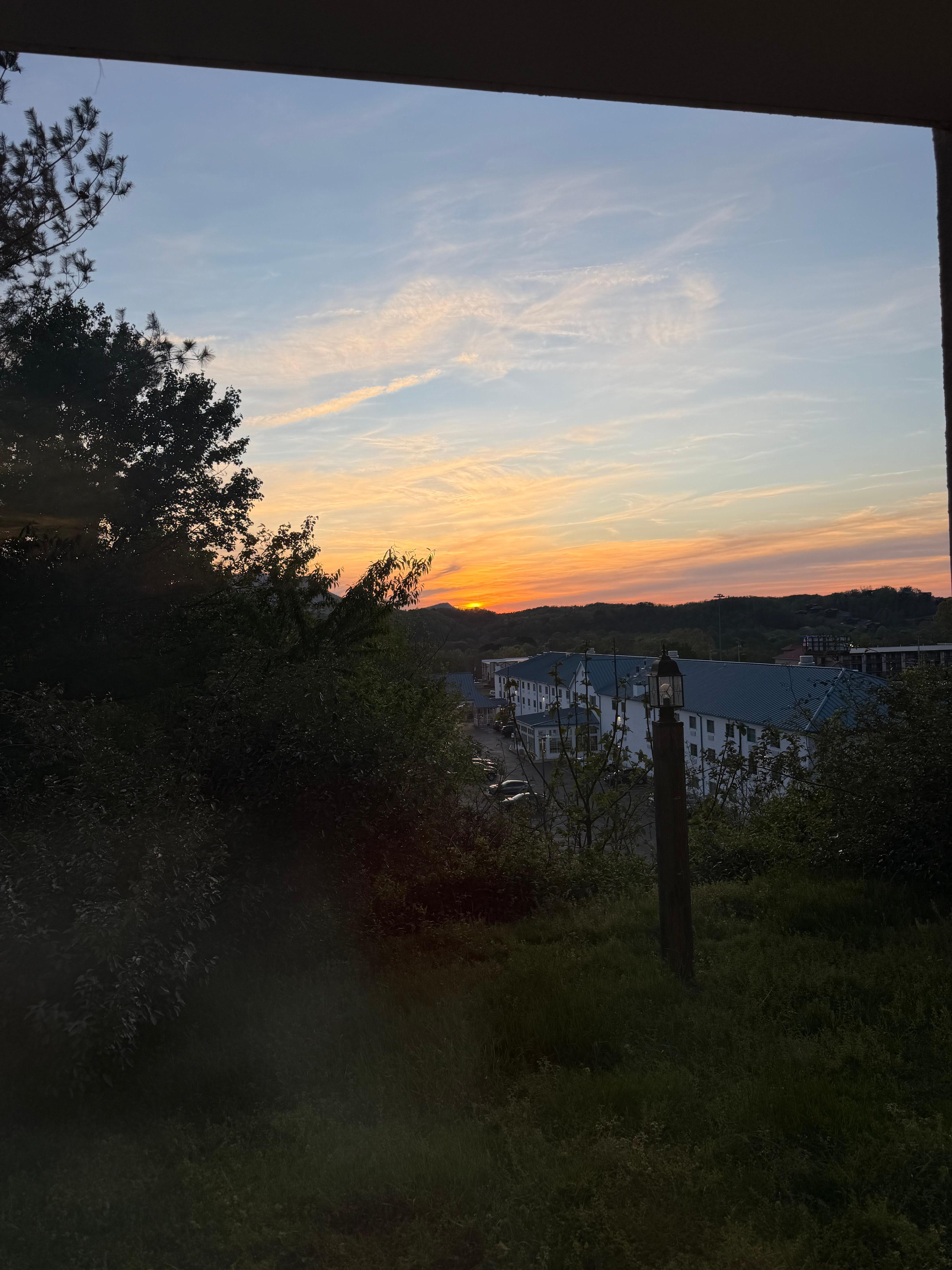 View from the family room