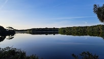 Etang du TER
