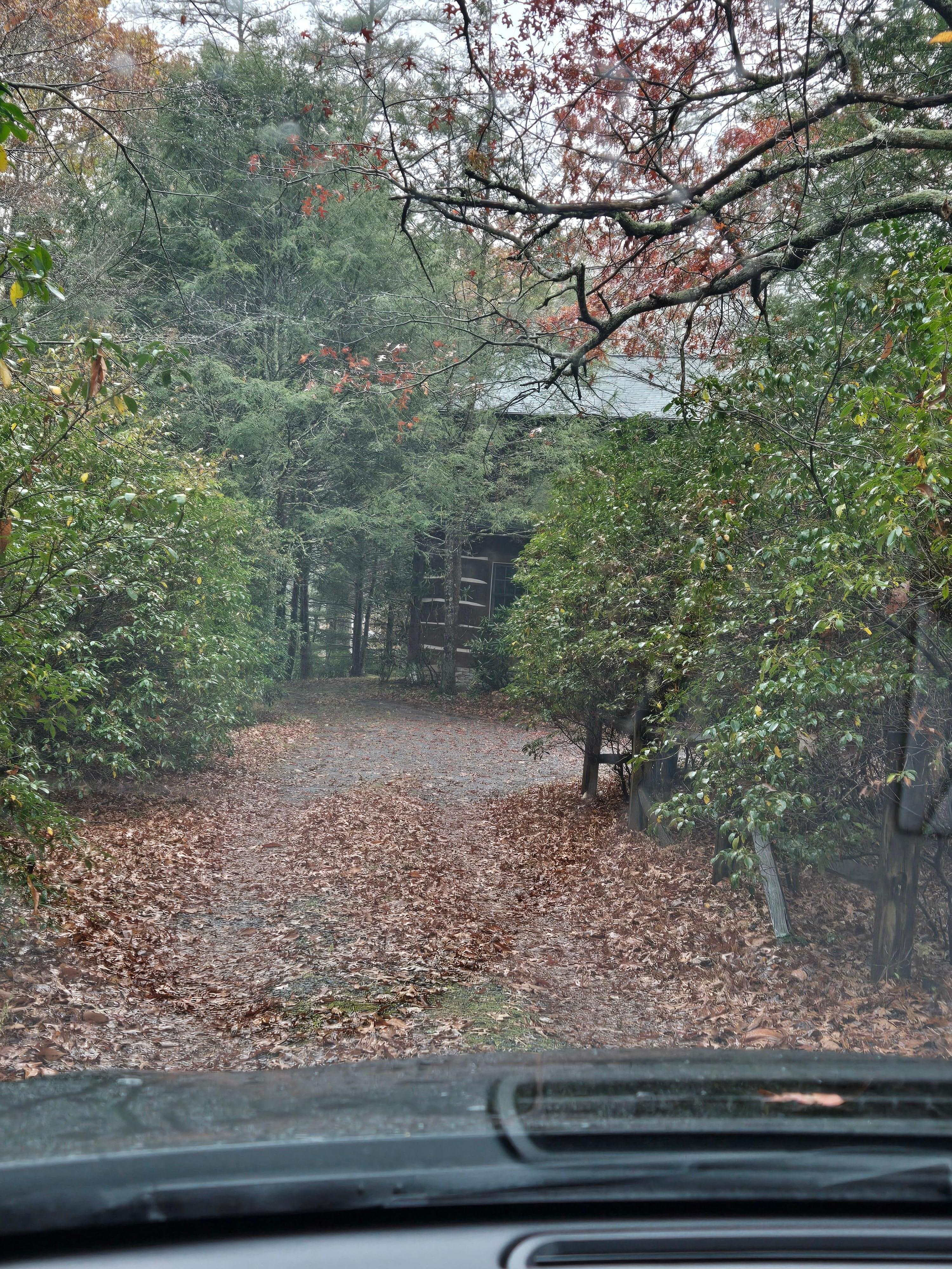 A precious cabin all nestled into the woods