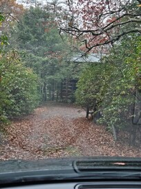 A precious cabin all nestled into the woods