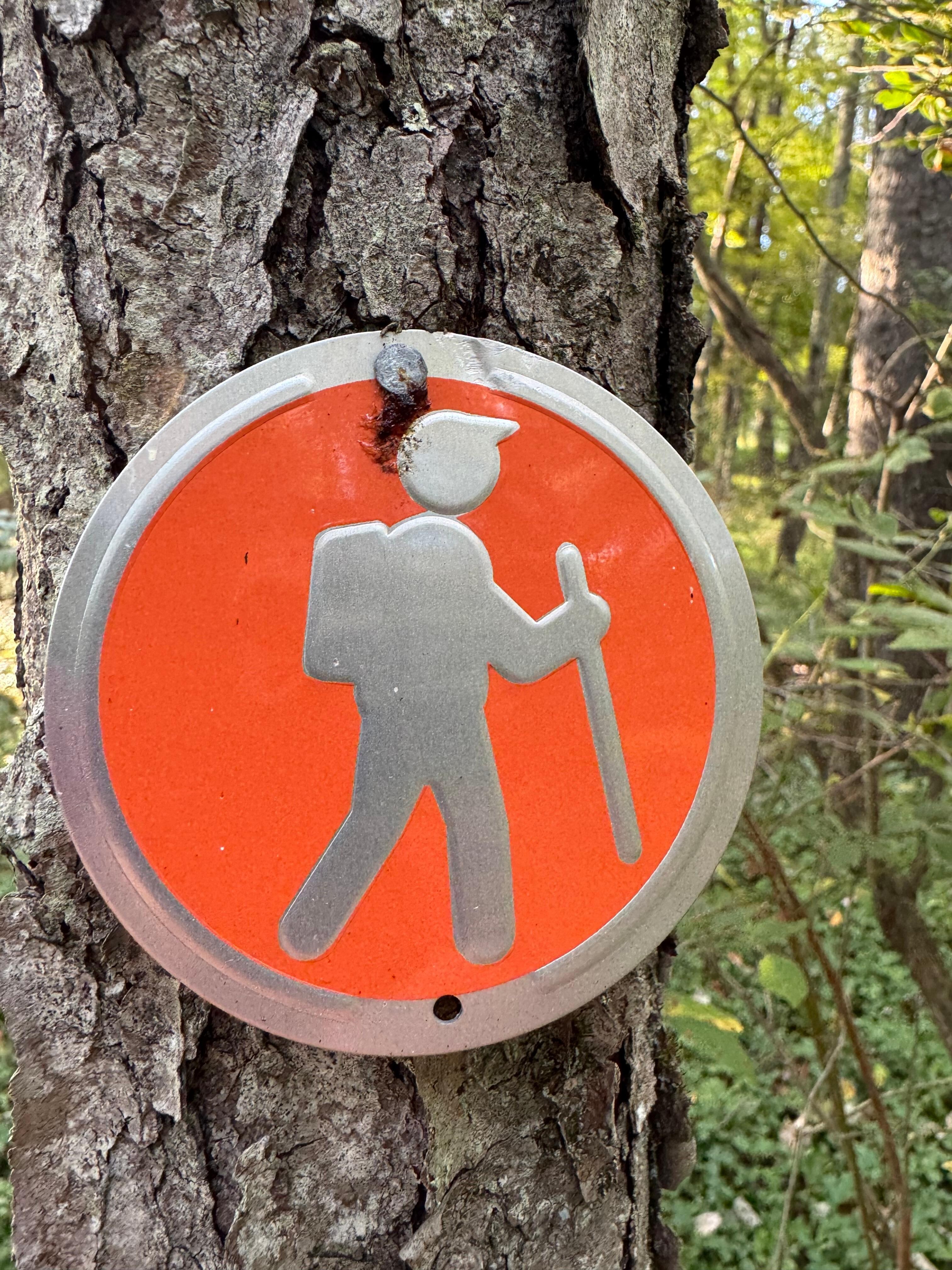 The trails were marked 