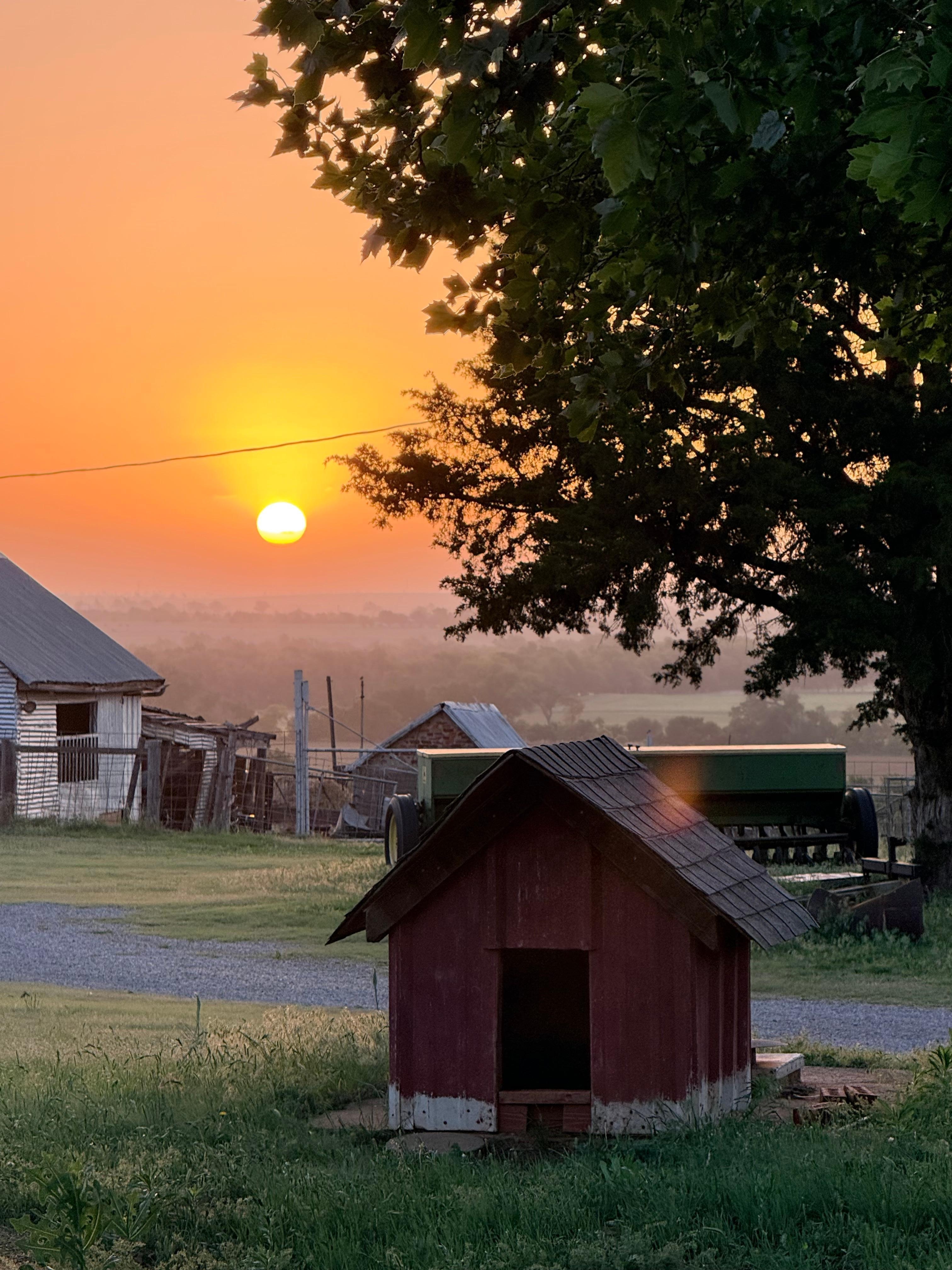 Glorious sunrise!
