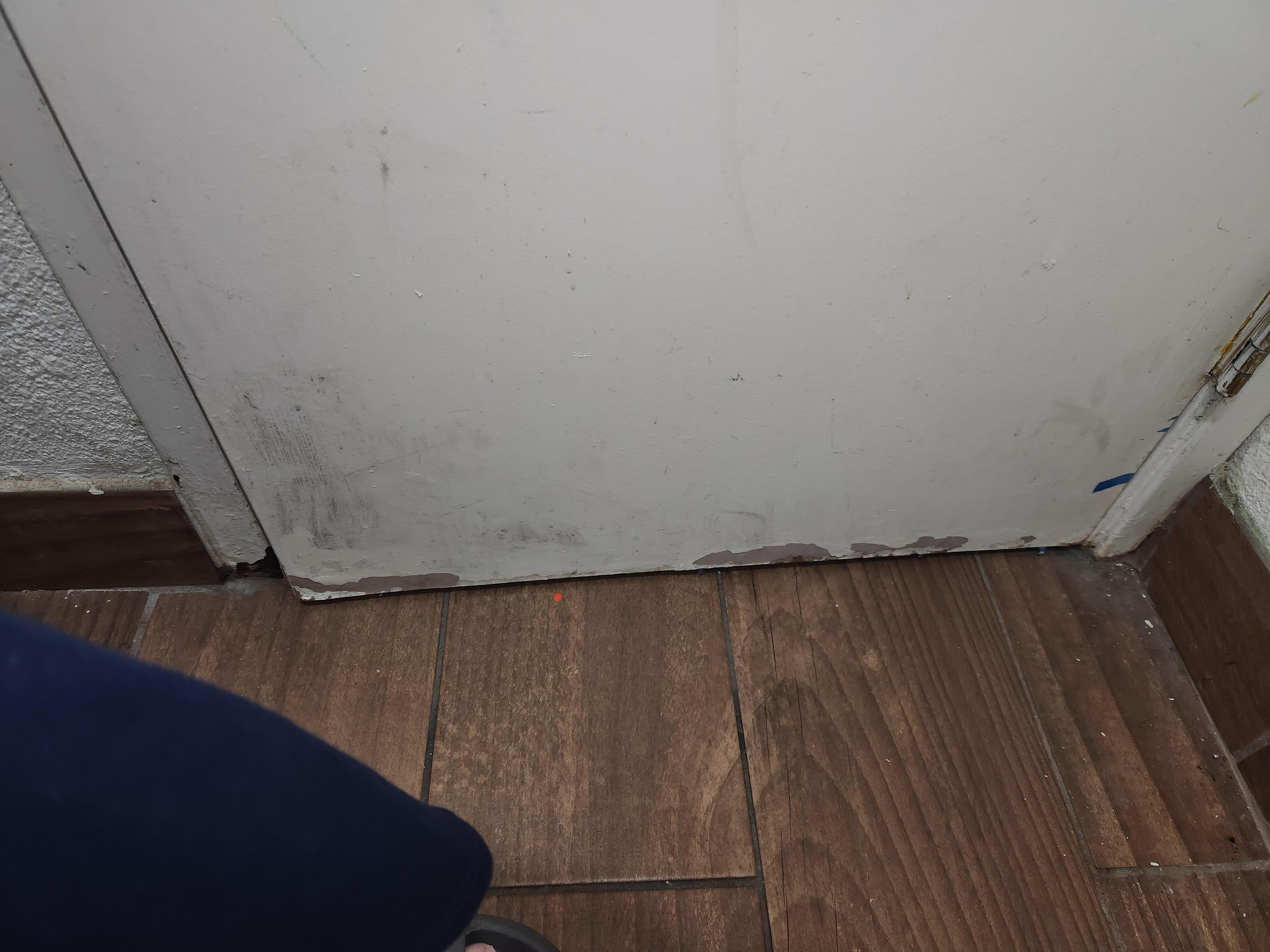 Bottom of bathroom door