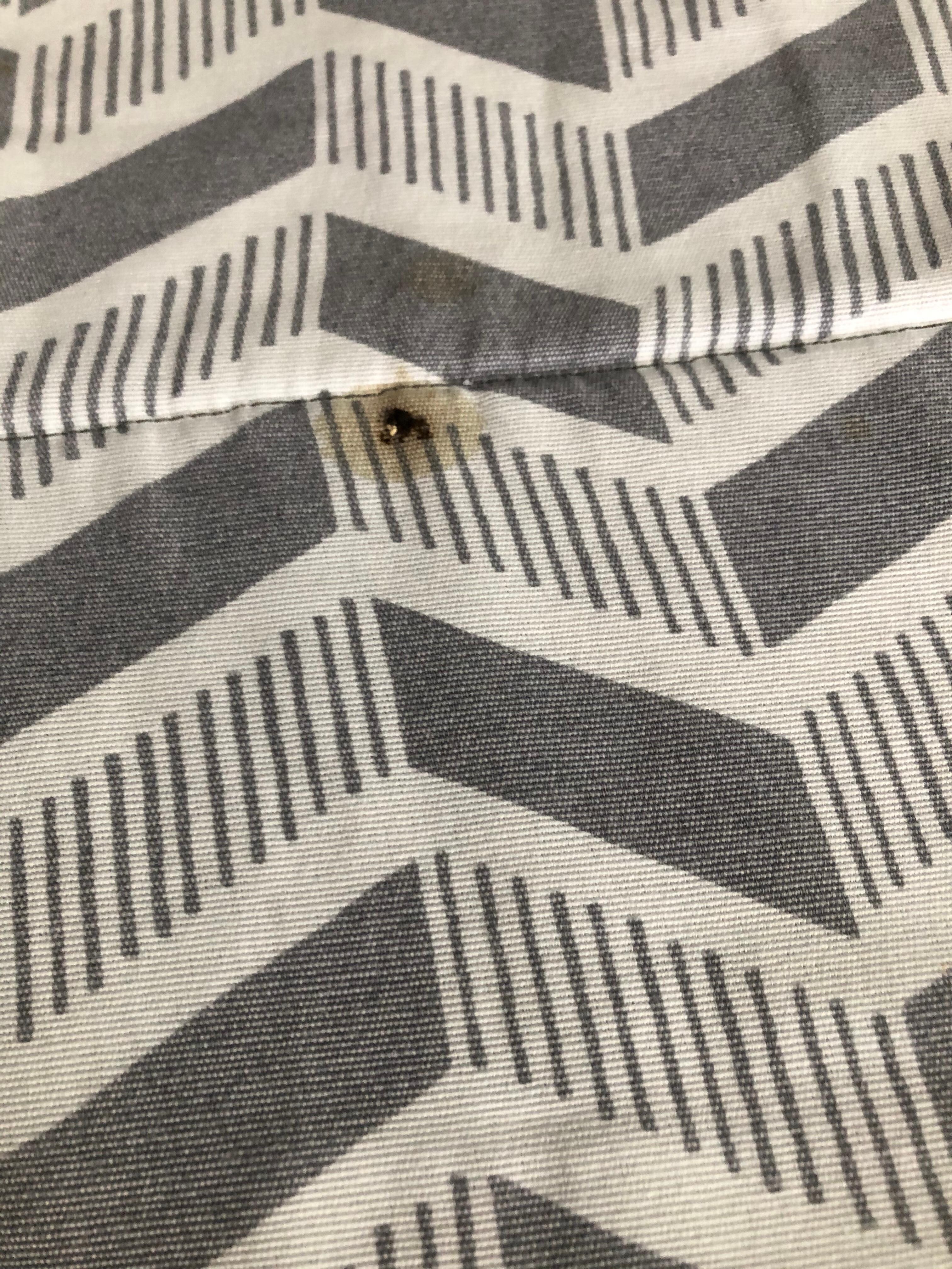 Rat droppings on bed