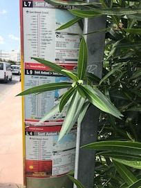 Airport bus from the hotel bus stop