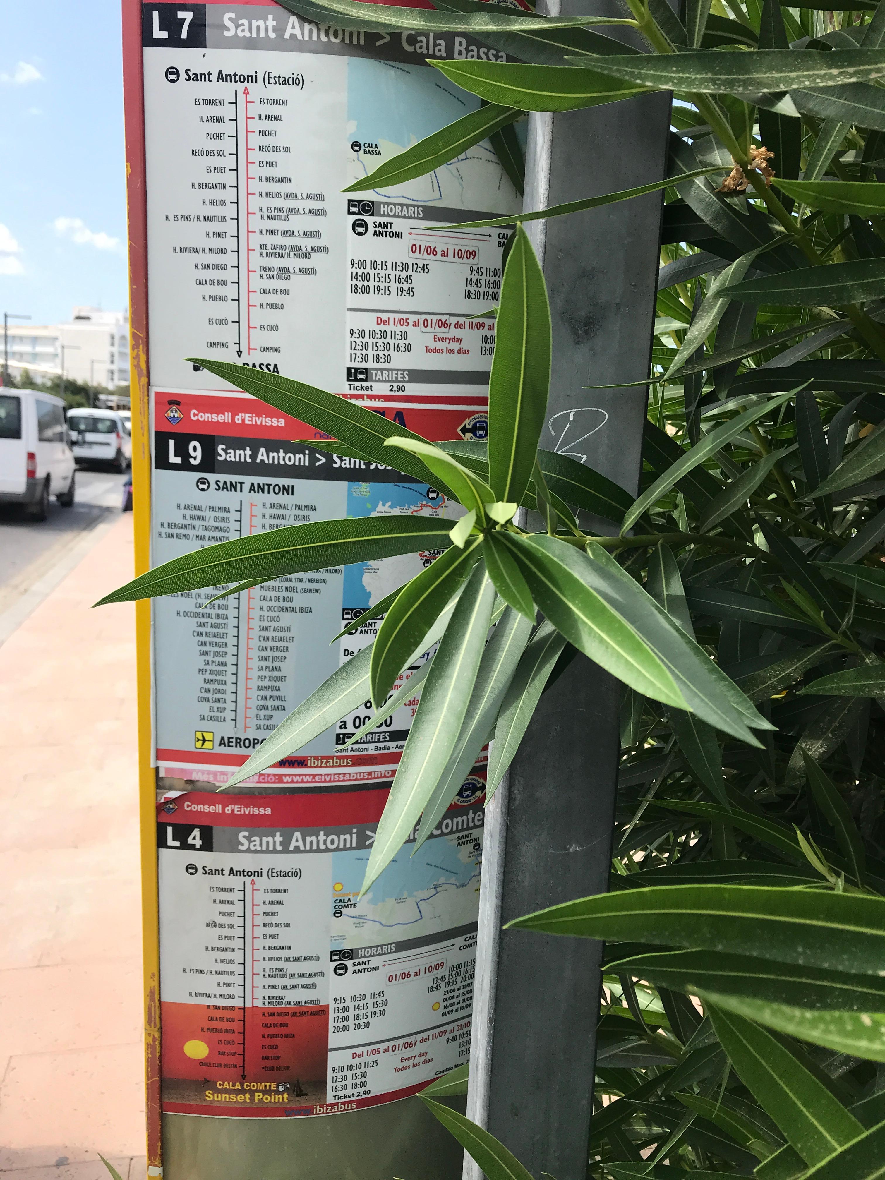 Airport bus from the hotel bus stop 