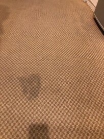 This was one of about 10 nice stains on the carpet.