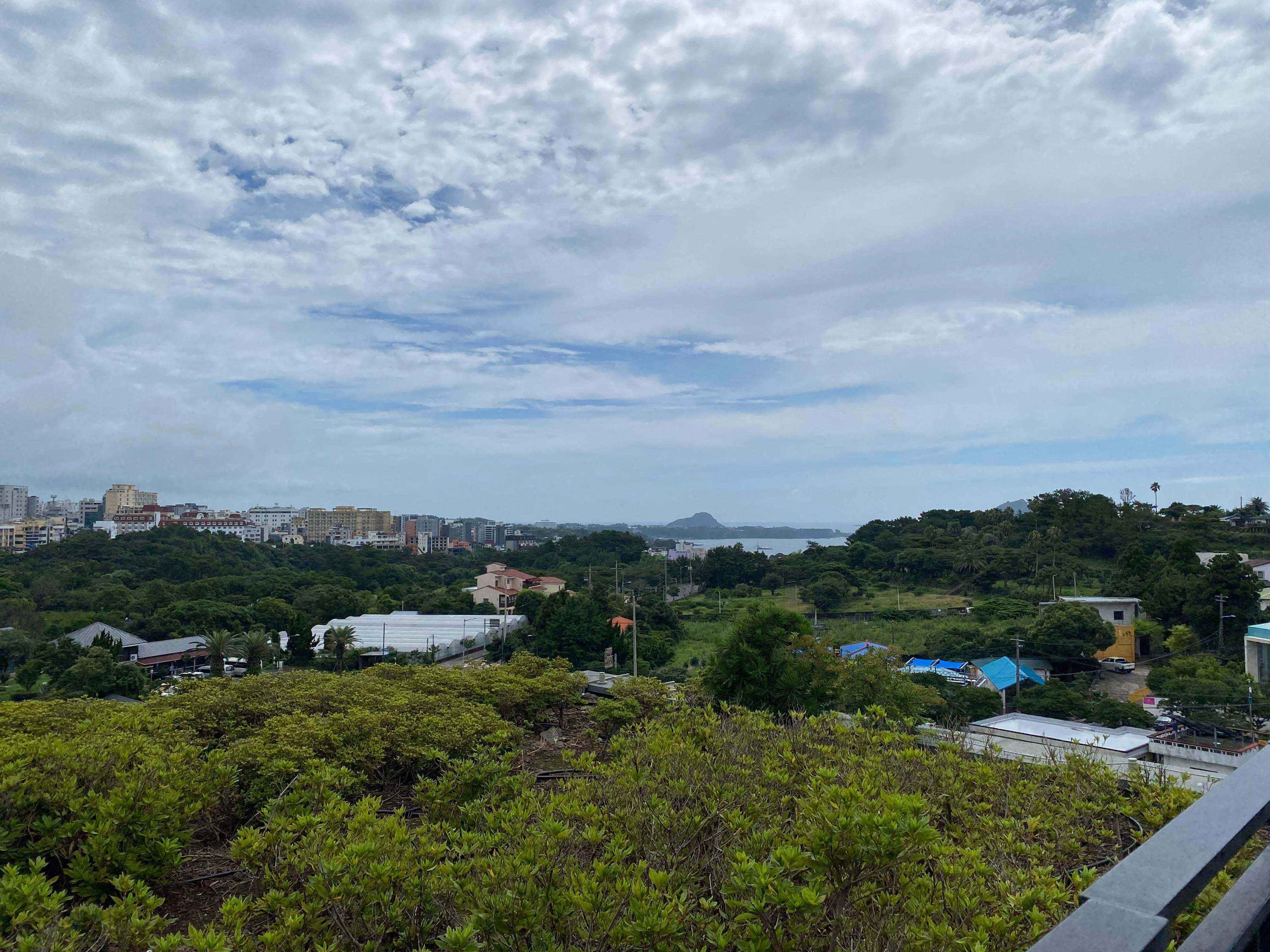 View from rooftop terrace