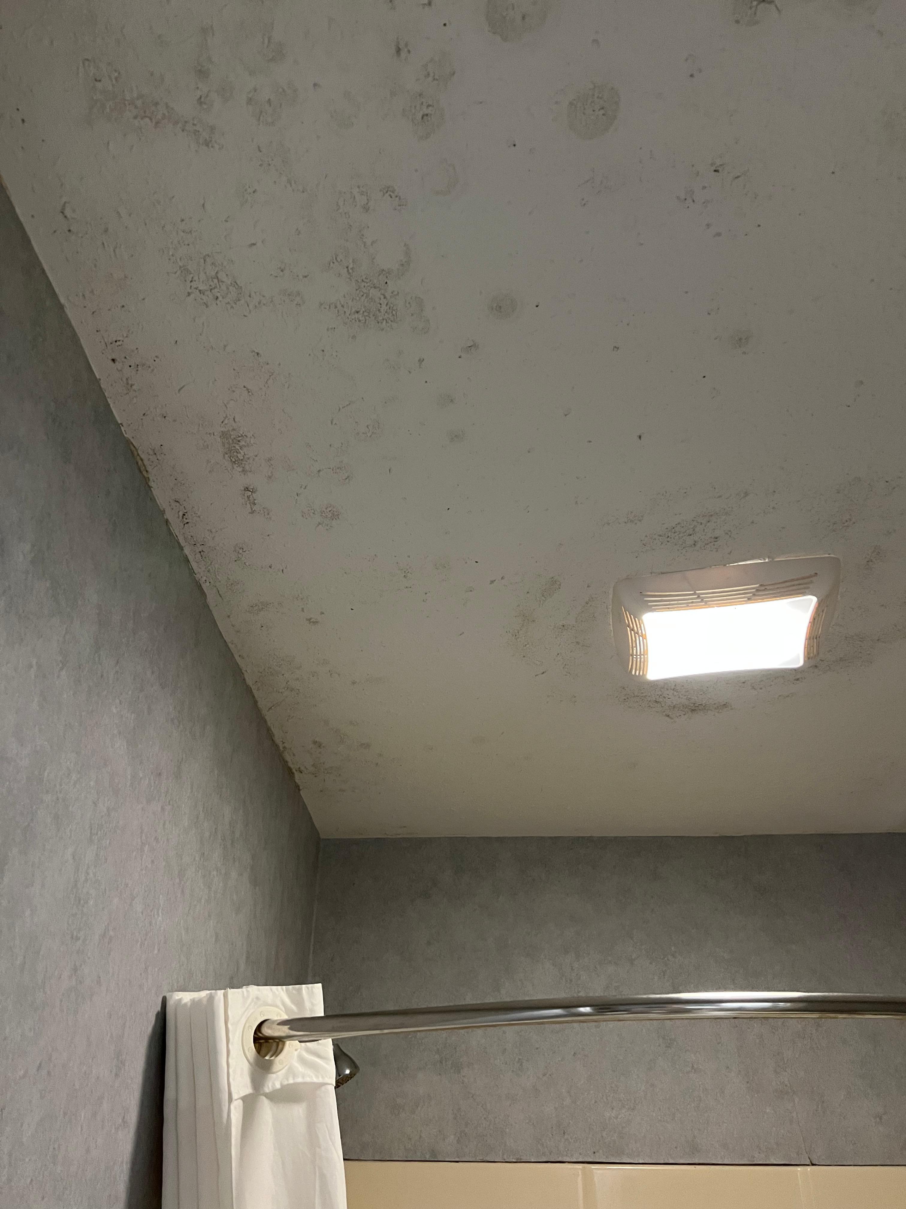 Mold
