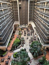 Gorgeous view from my room