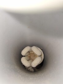 Poussière sur la lampe qui ne fonctionne plus depuis très longtemps vu l'épaisseur