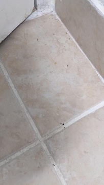 Behind bathroom door