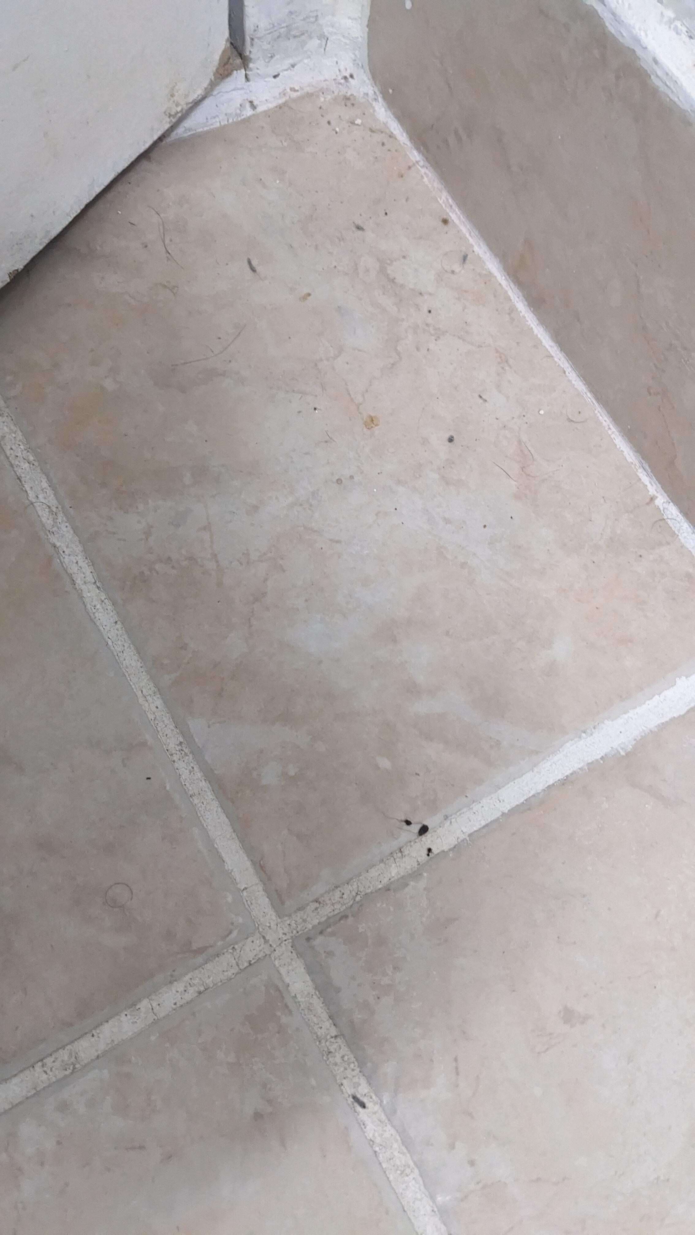 Behind bathroom door 