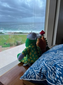 Views loved by all 😊