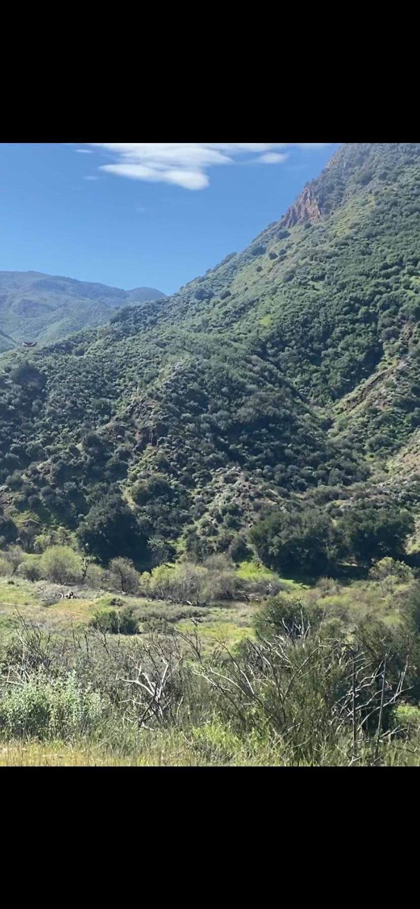 Surrounded by beauty