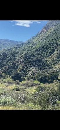 Surrounded by beauty