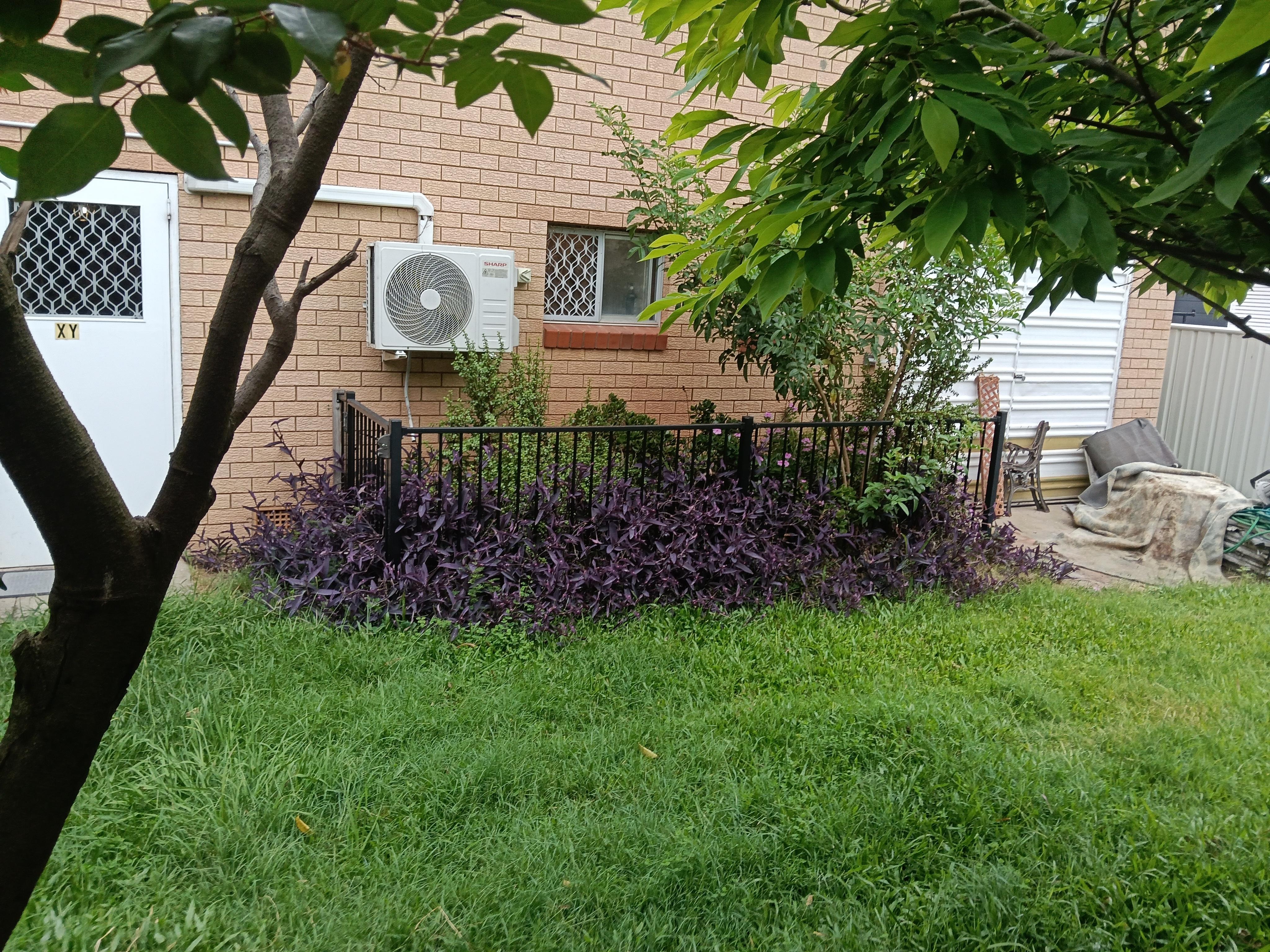 Here's another picture of the backyard there's a fence over by the bathroom window at least you know there are no peeping toms anymore