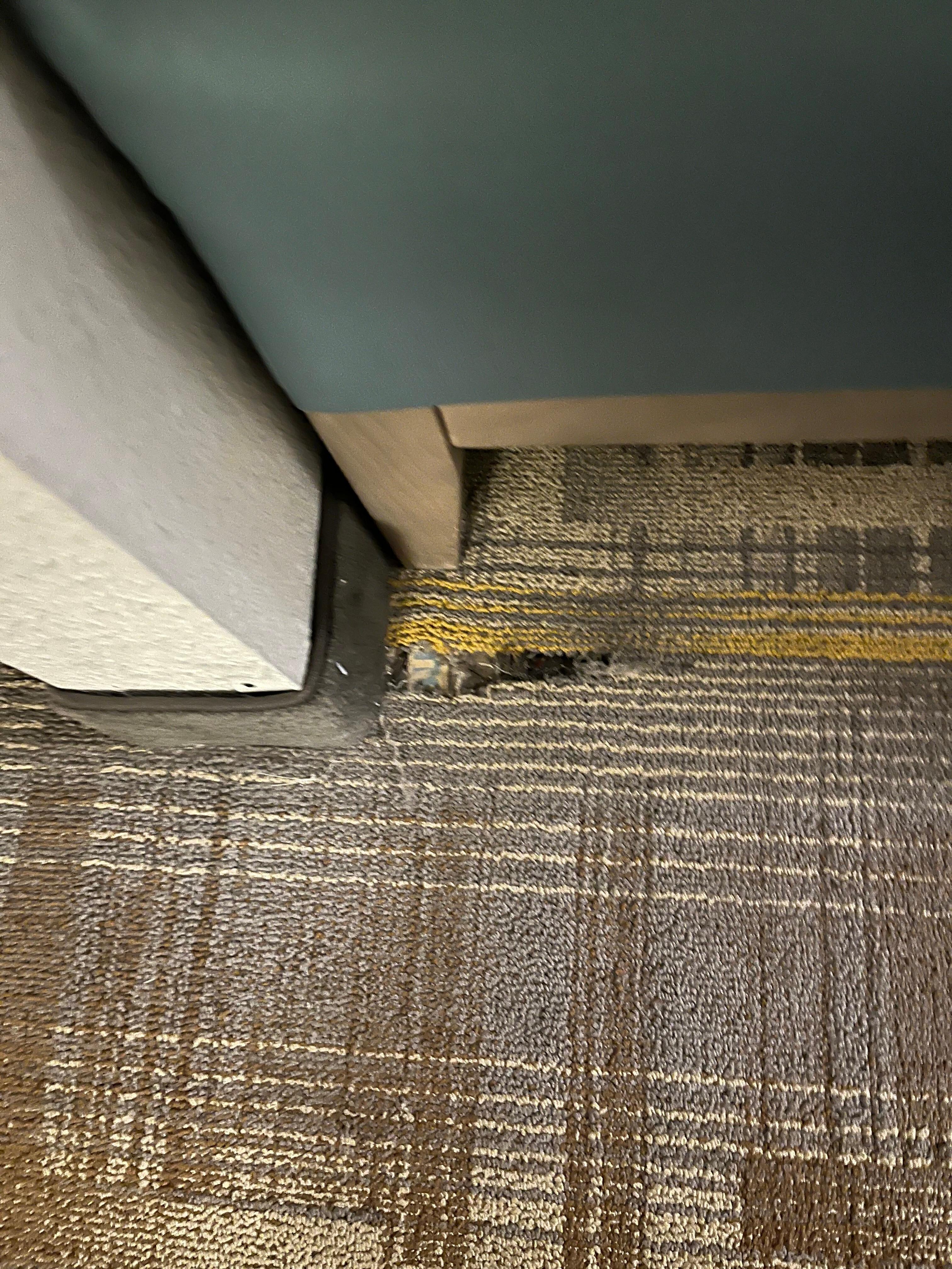 Carpet torn