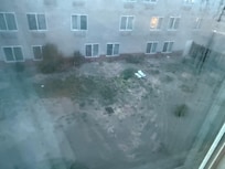 This is the courtyard