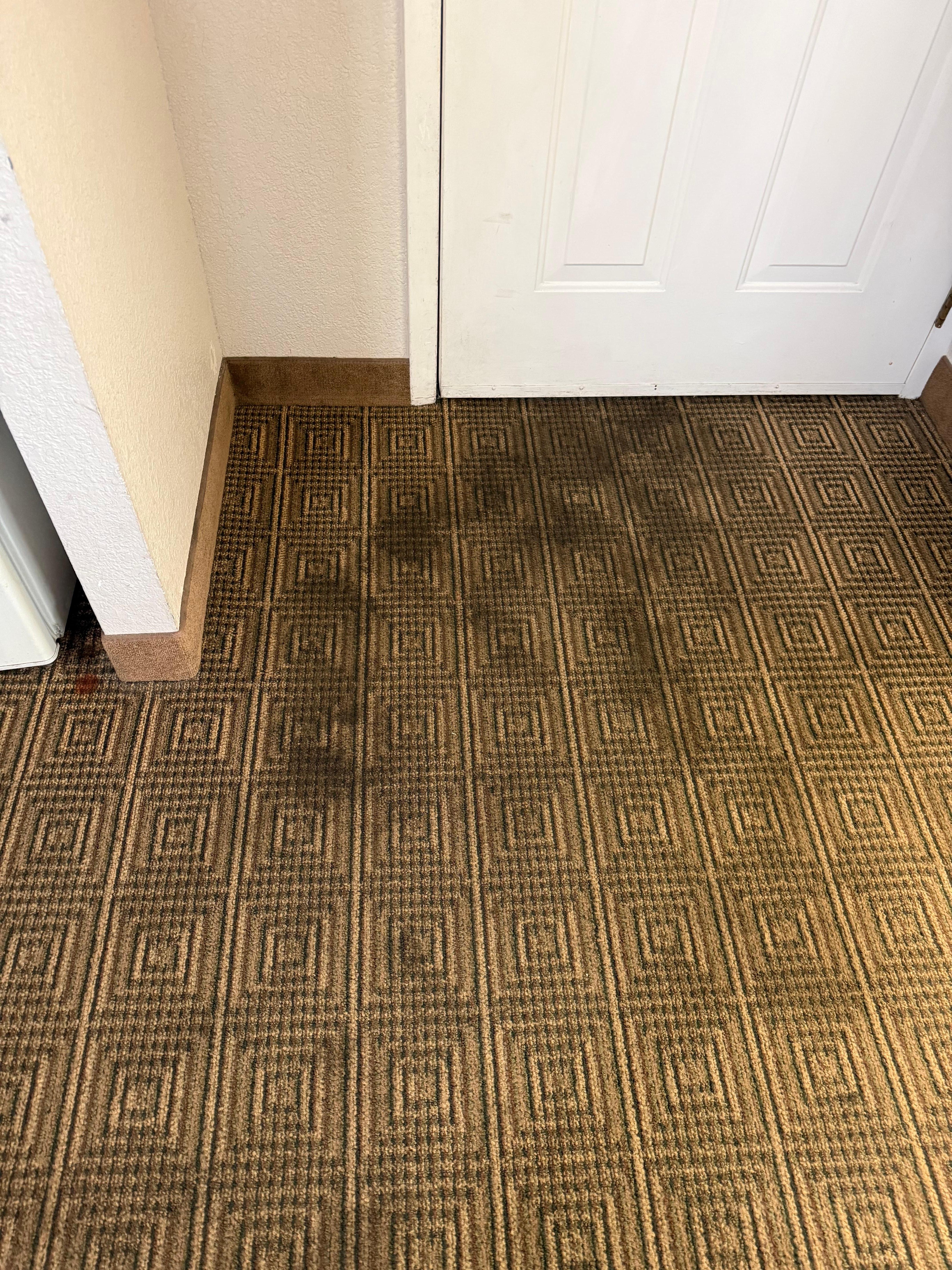Dirty carpet