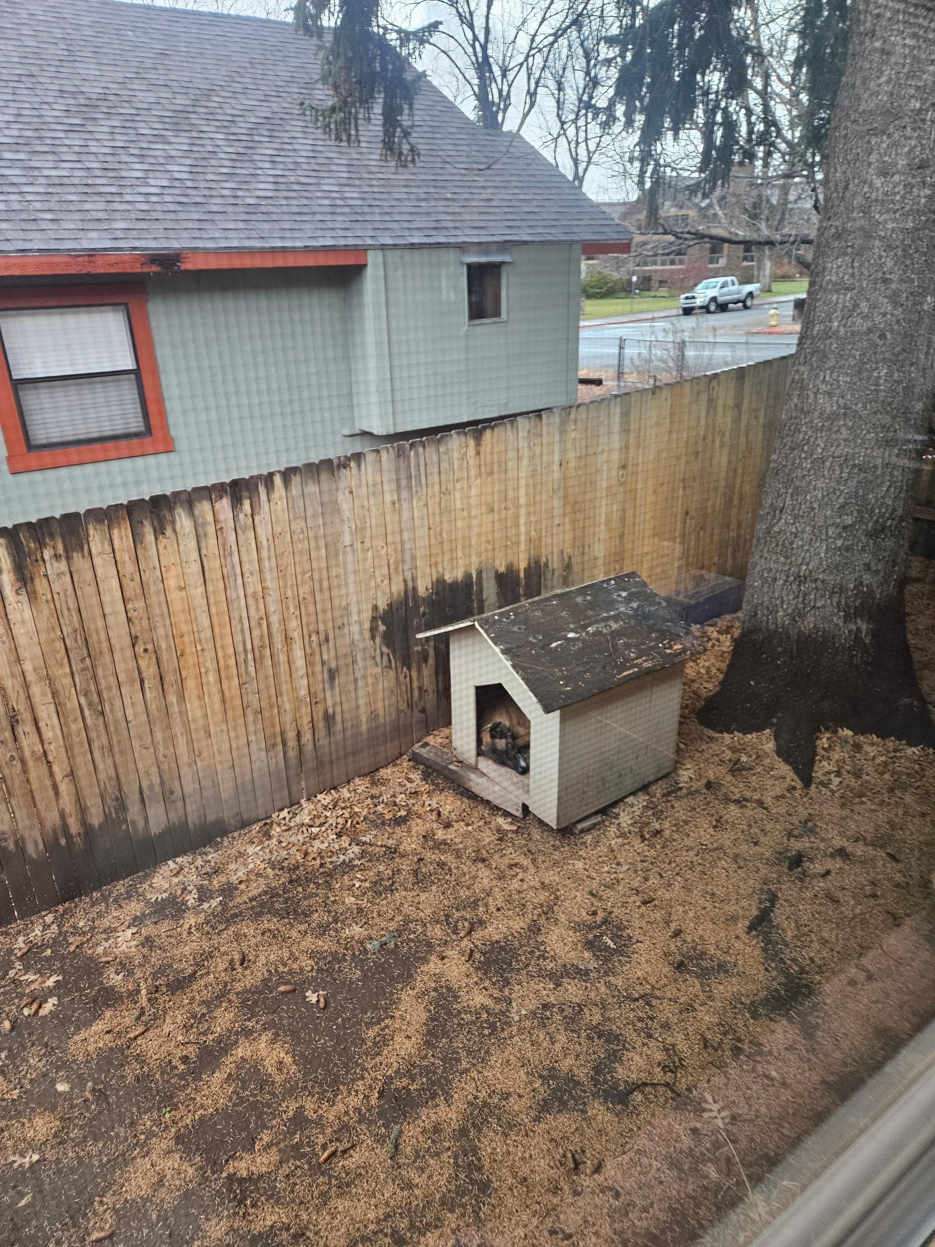 Cozy accommodations for  dogs who love to be outdoors.
