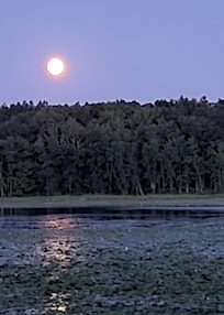 Evening view from dock