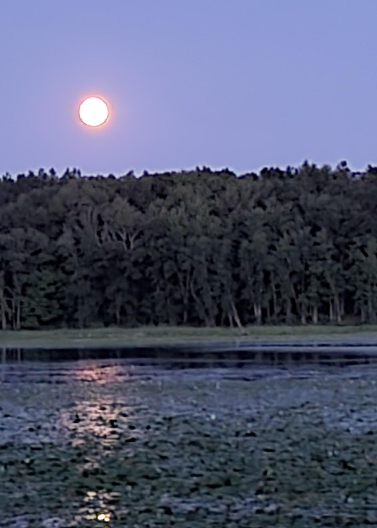 Evening view from dock