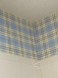 Secondary bathroom - black spots - maybe mold? No smells