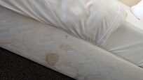 Beds were stained