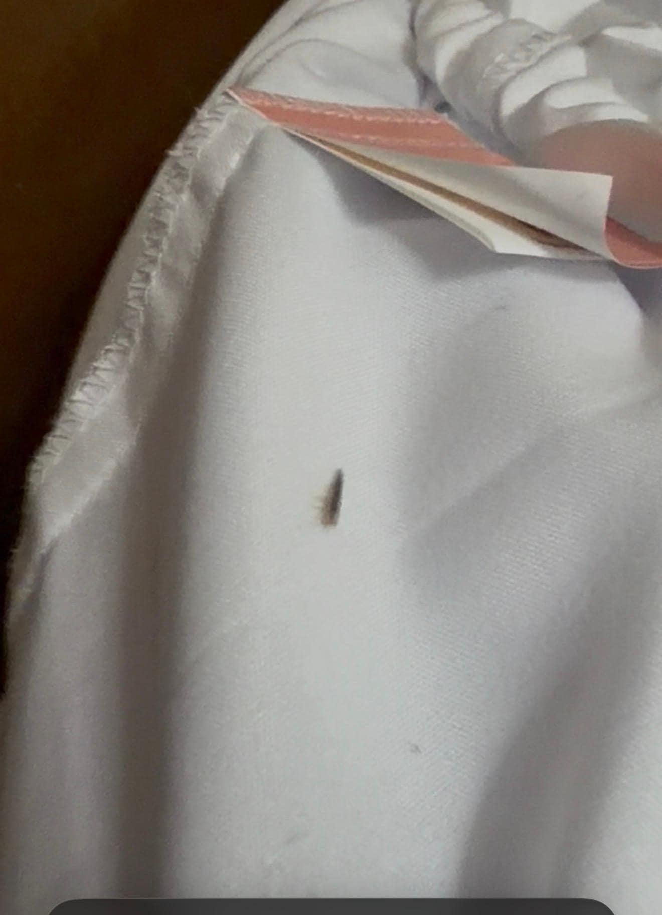 Bugs under the sheets