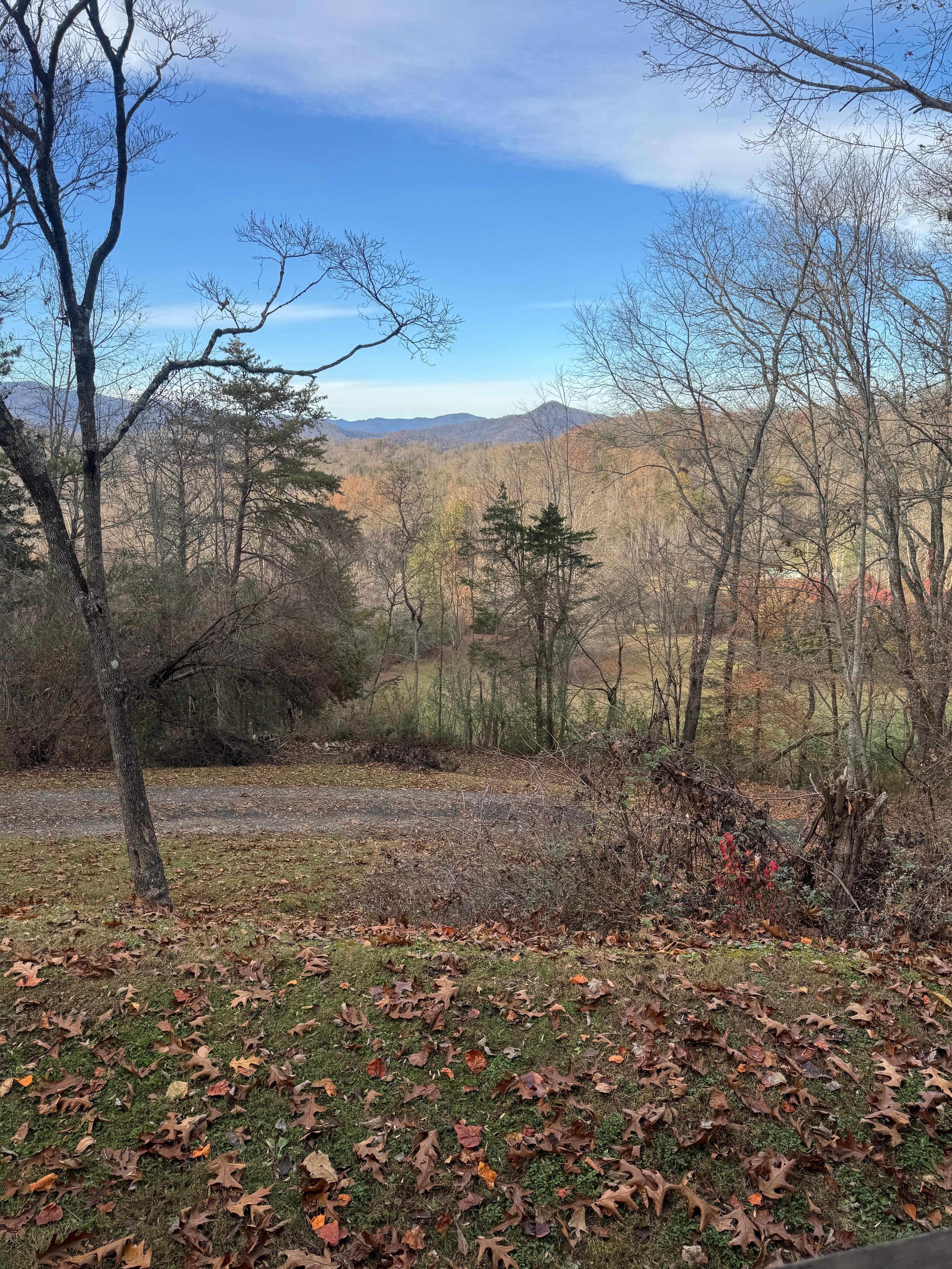 View from front porch