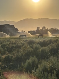 Sun setting over Victor community