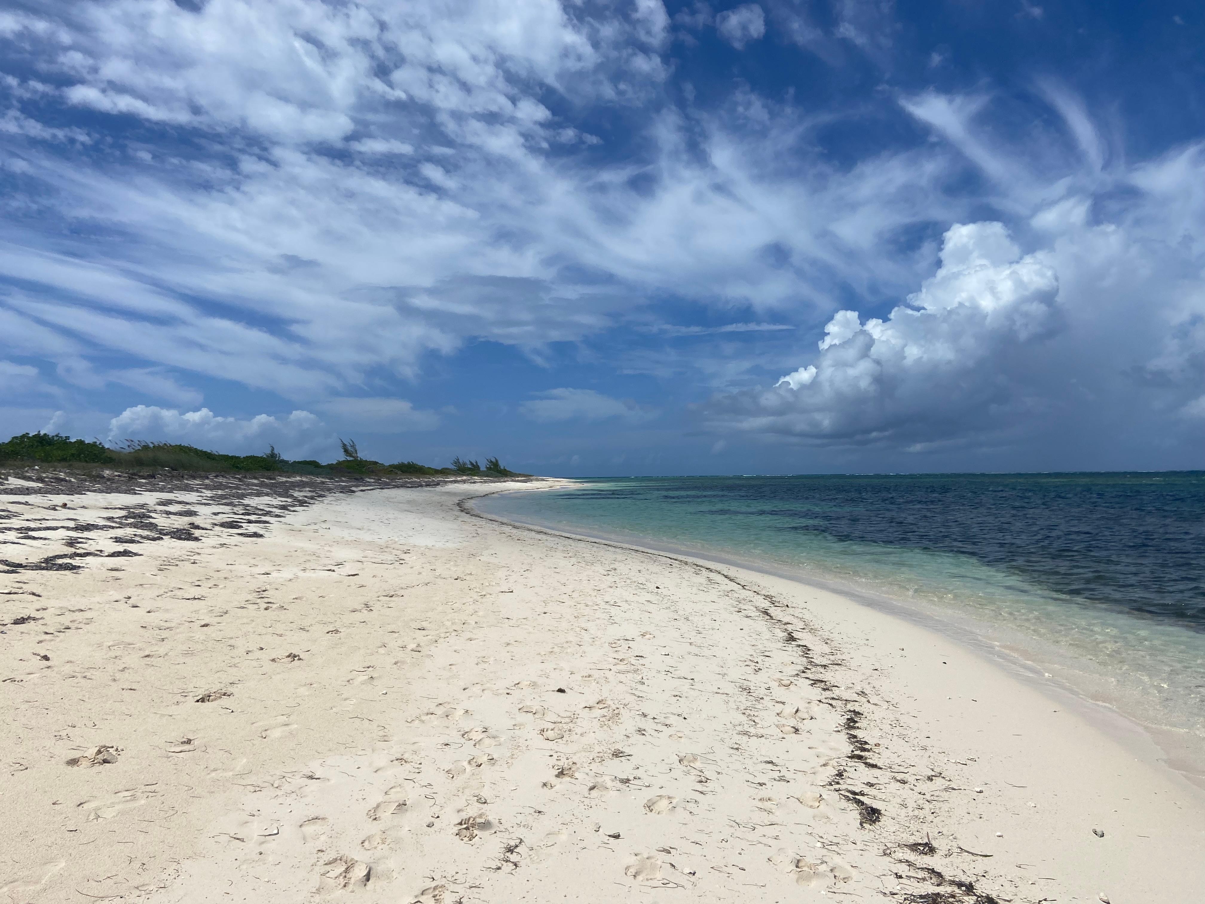 View along a walk down the beach